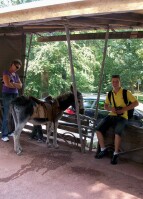 Bild 05