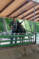 Bild 06