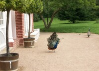 Bild 07