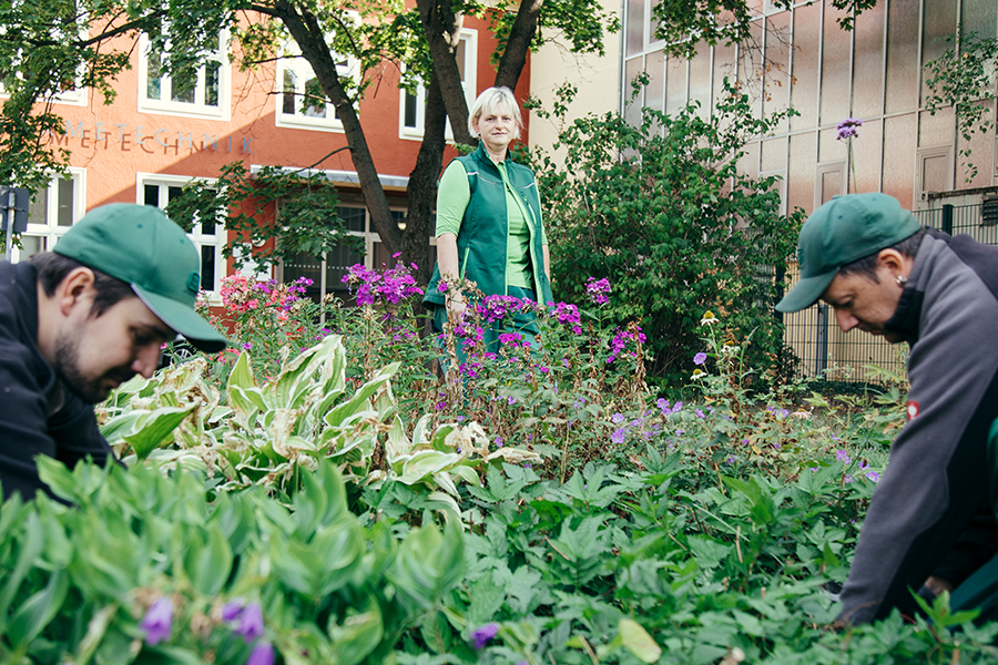 Christiane Hummel, Maik Schmalisch und Marcus Möbes bei der Arbeit im Blumenbeet (c) Harald Krieg