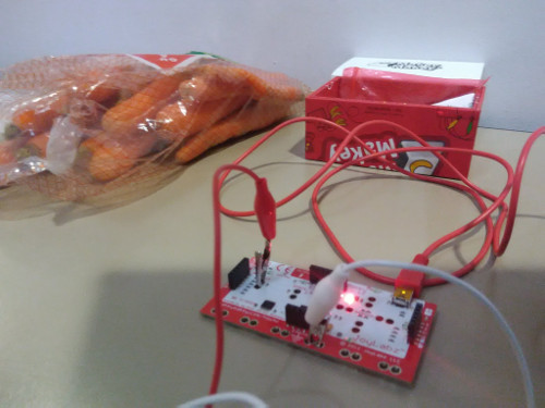 Makey Makey Möhrenpiano...<br />
																<div class=