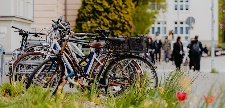 Bicycles on Campus Bicycles on Campus