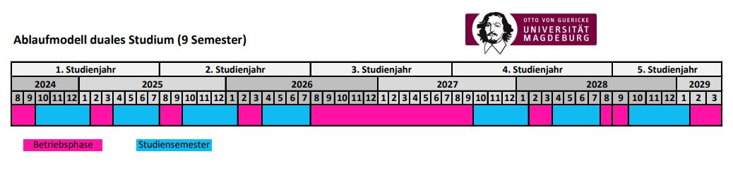 Ablaufplan duales Studium
