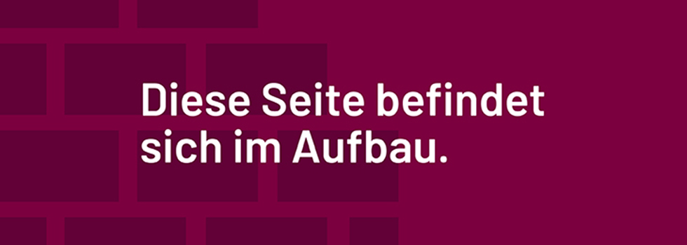 Grafik Website im Aufbau