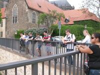 Bild 12