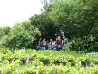 Bild 61