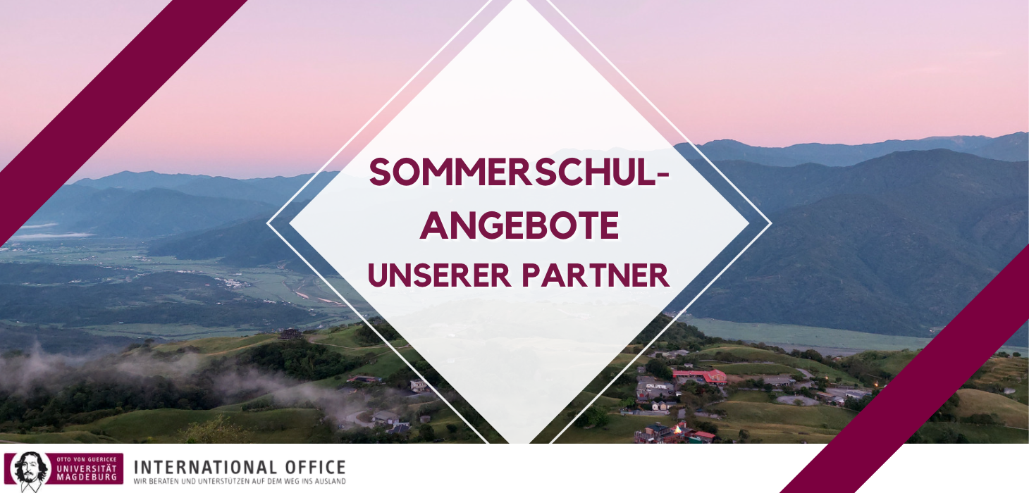 Sommerschulen unserer Partner