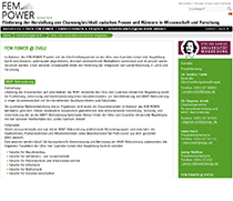 Screenshot FEM-Power-Website