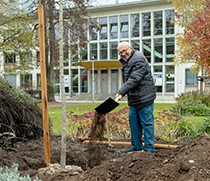 Lothar Möhre pflanzt einen Baum