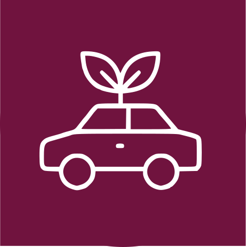 Mobility survey