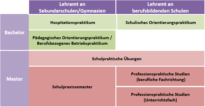 Grafik Praxisphasen Lehramt