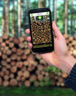 Foto Handy mit Wald-App (c) Stefan Berger