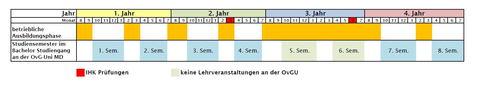 Dual Ausbildungsi. Ablauf Dual Ausbildungsi. Ablauf