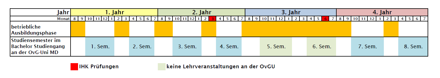 Dual Ausbildungsi. Ablauf