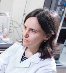 Dr.-Ing. Vidakovic Koch Dr.-Ing....<br />
																<div class=